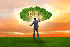 Co2 - Al Plurale Online